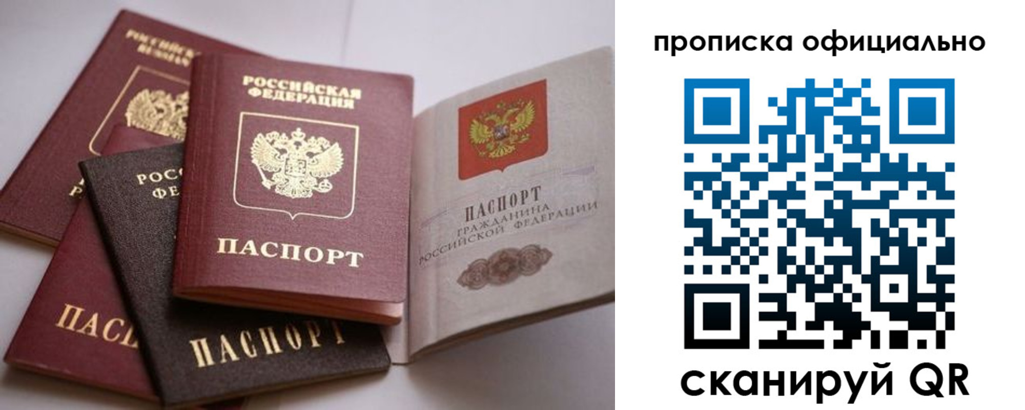 временная регистрация поиск в Светогорске